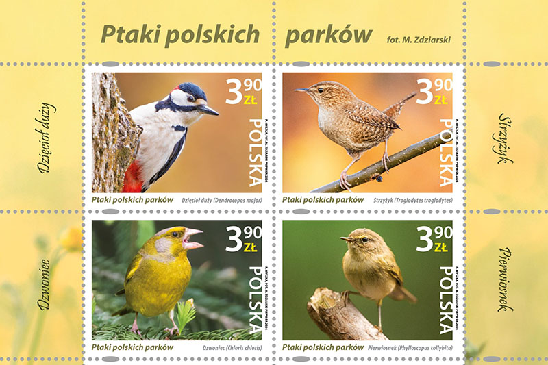 „Ptaki polskich parków” 2024 – nowa seria znaczków pocztowych ze zdjęciami autorstwa Macieja Zdziarskiego